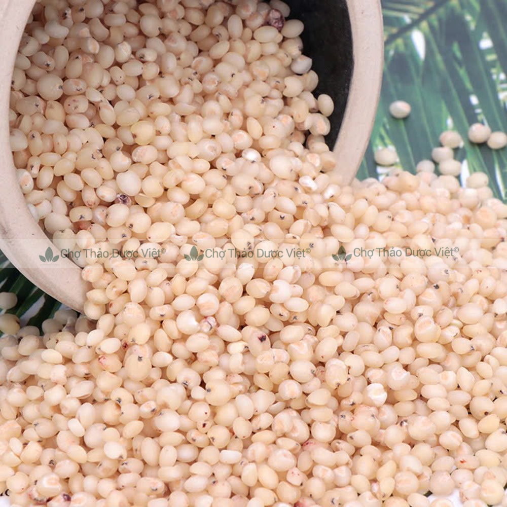 Y dĩ khô 100g, hạt bobo nếp, nguyên liệu hầm gà, nấu cháo, chè, trà lợi sữa sau sinh