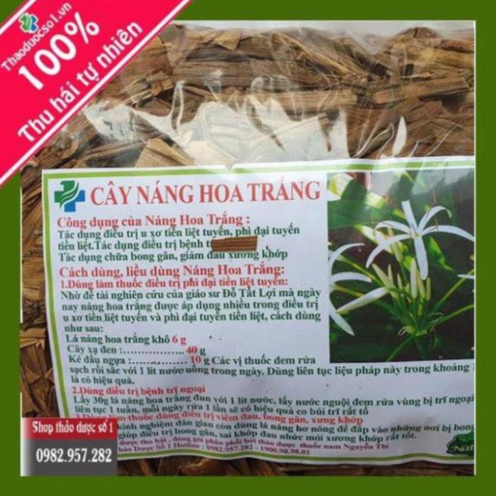 Cây náng hoa trắng Khô 1kg
