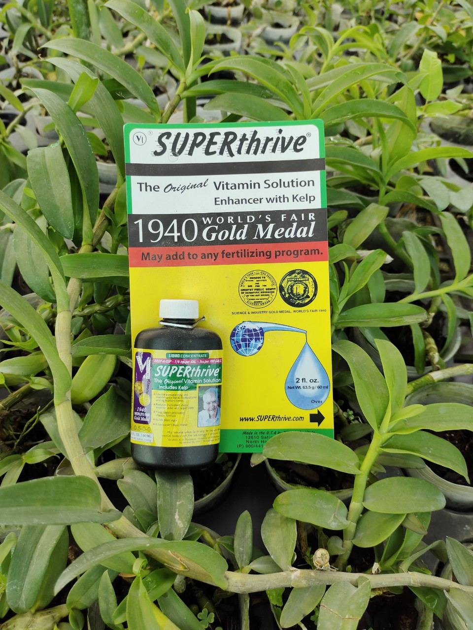 Phân bón Superthrive (Mỹ)