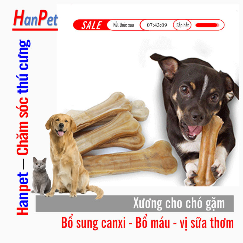 HCM- lẻ 1 cái Xương ống da bò cho chó gặm - phù hợp với chó lớn trên 15kg (hanpet 371) 20cm-HP10333TC