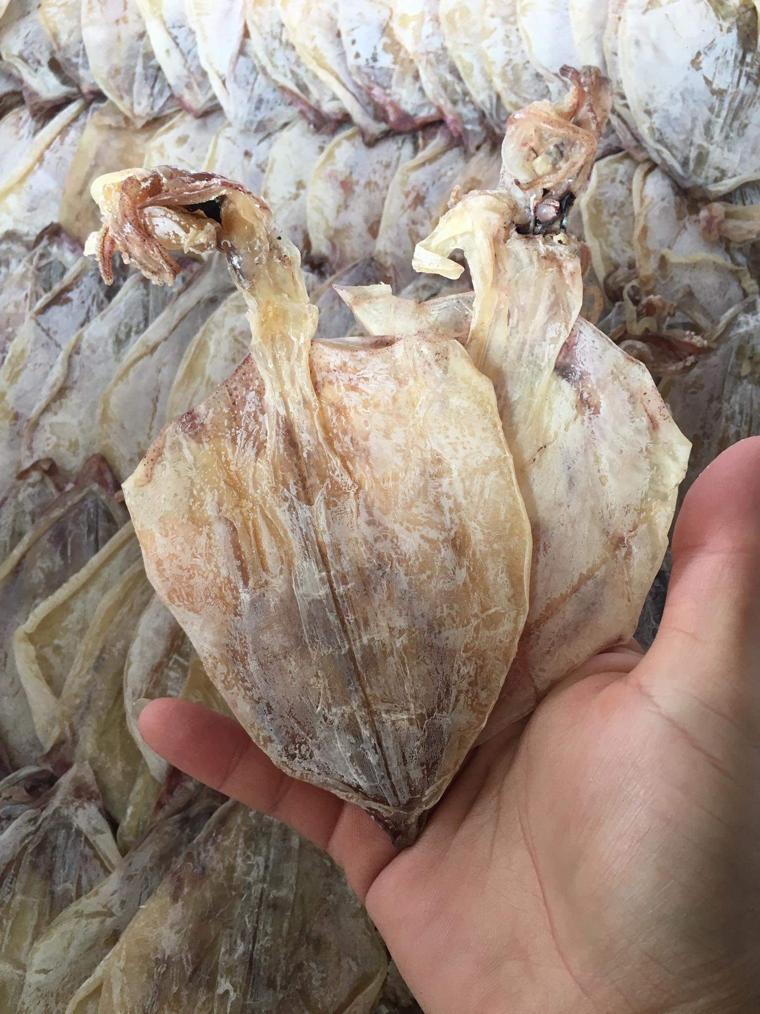 Khô mực lá;mực ống size lớn 30-40 con (túi 500gr)