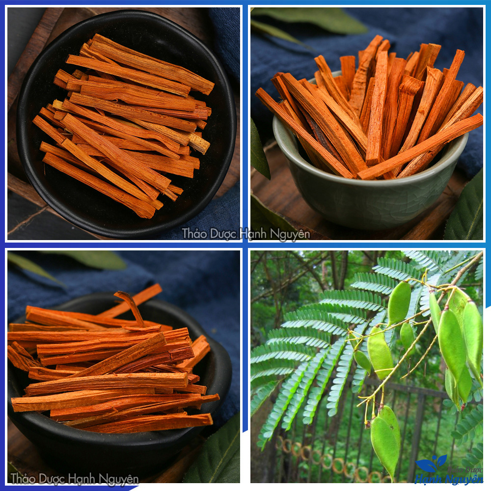 Tô Mộc 100g (Gỗ Vang)