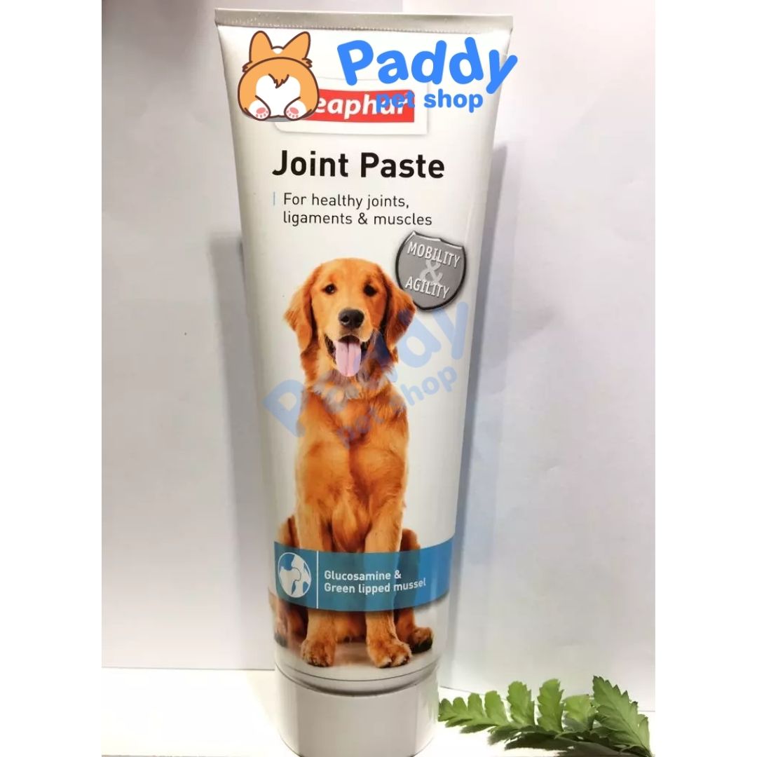 Gel Bổ Xương Khớp Beaphar Joint Paste Cho Chó (250g)