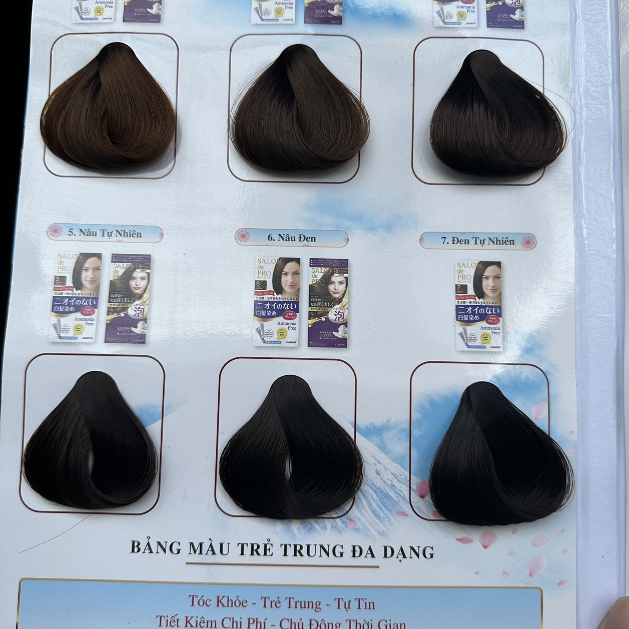 Thuốc Nhuộm Tóc Salon De Pro Số ( 2,3,4,5,5K,6, 3B, 4R )