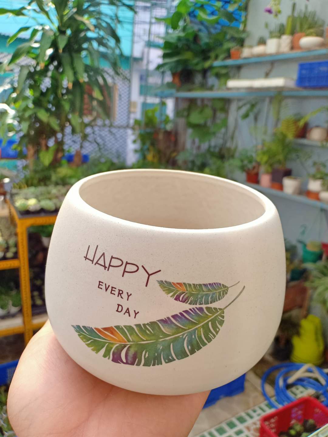 Chậu Sứ Trồng Cây (tặng kèm đất)