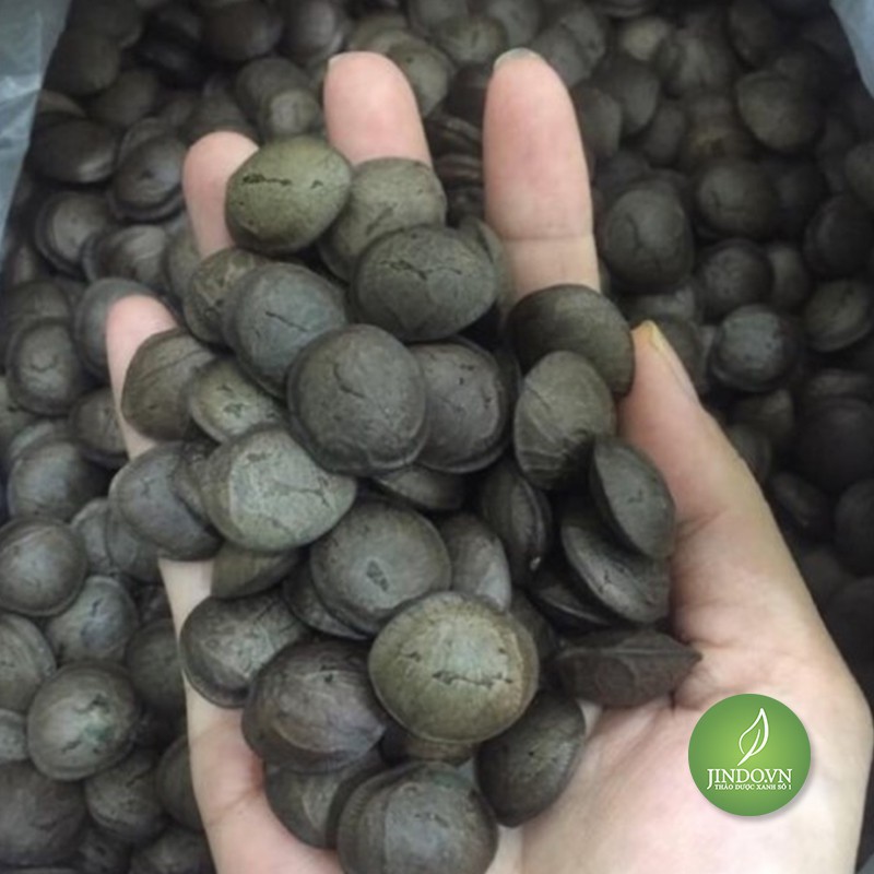 0.5KG Hạt sachi -EG247