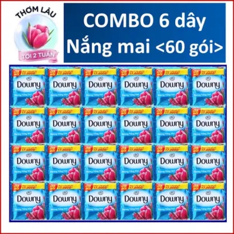 Set ( 6 dây x 10 gói) nước xả vải Downy