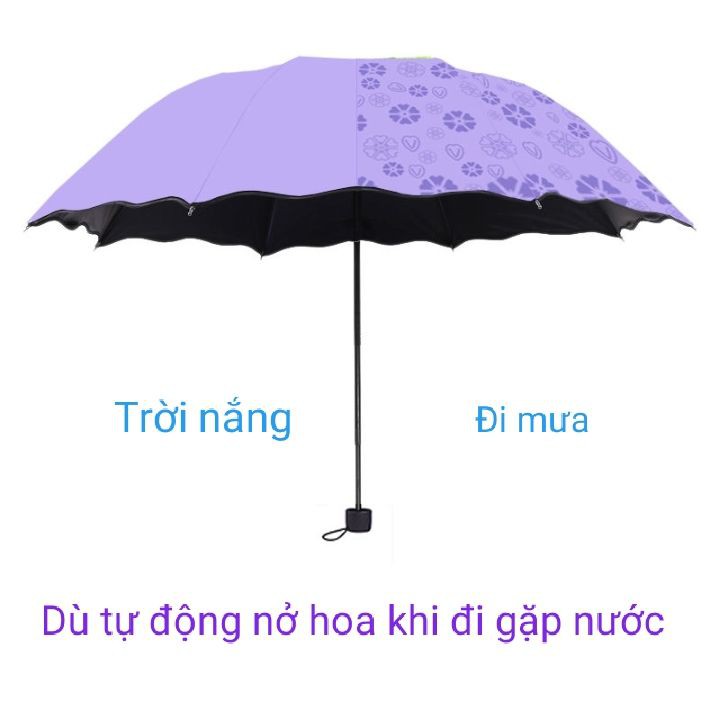 DÙ ĐI MƯA NỞ HOA