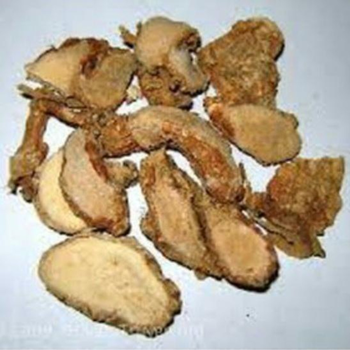 Củ Địa Liền (Xá Kén) Tươi 500G lz3