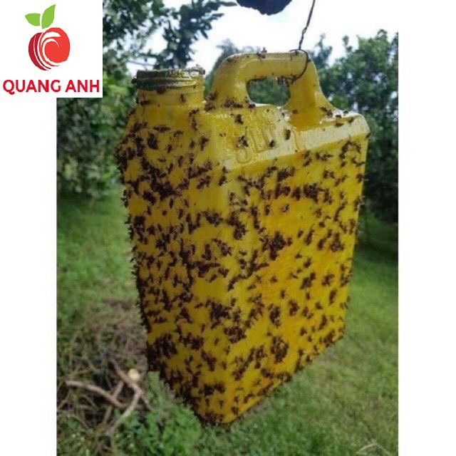 Chai Xịt Ruồi Vàng 450ml Keo Dính Bẫy Ruồi Vàng – Keo Xịt Bẫy Côn Trùng, Bẫy Ruồi Vàng Trên Cây Ăn Trái Hiệu Quả