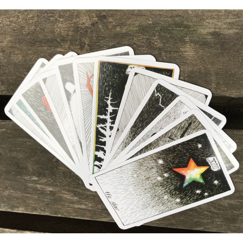 Bài The Wild Unknown Tarot H15