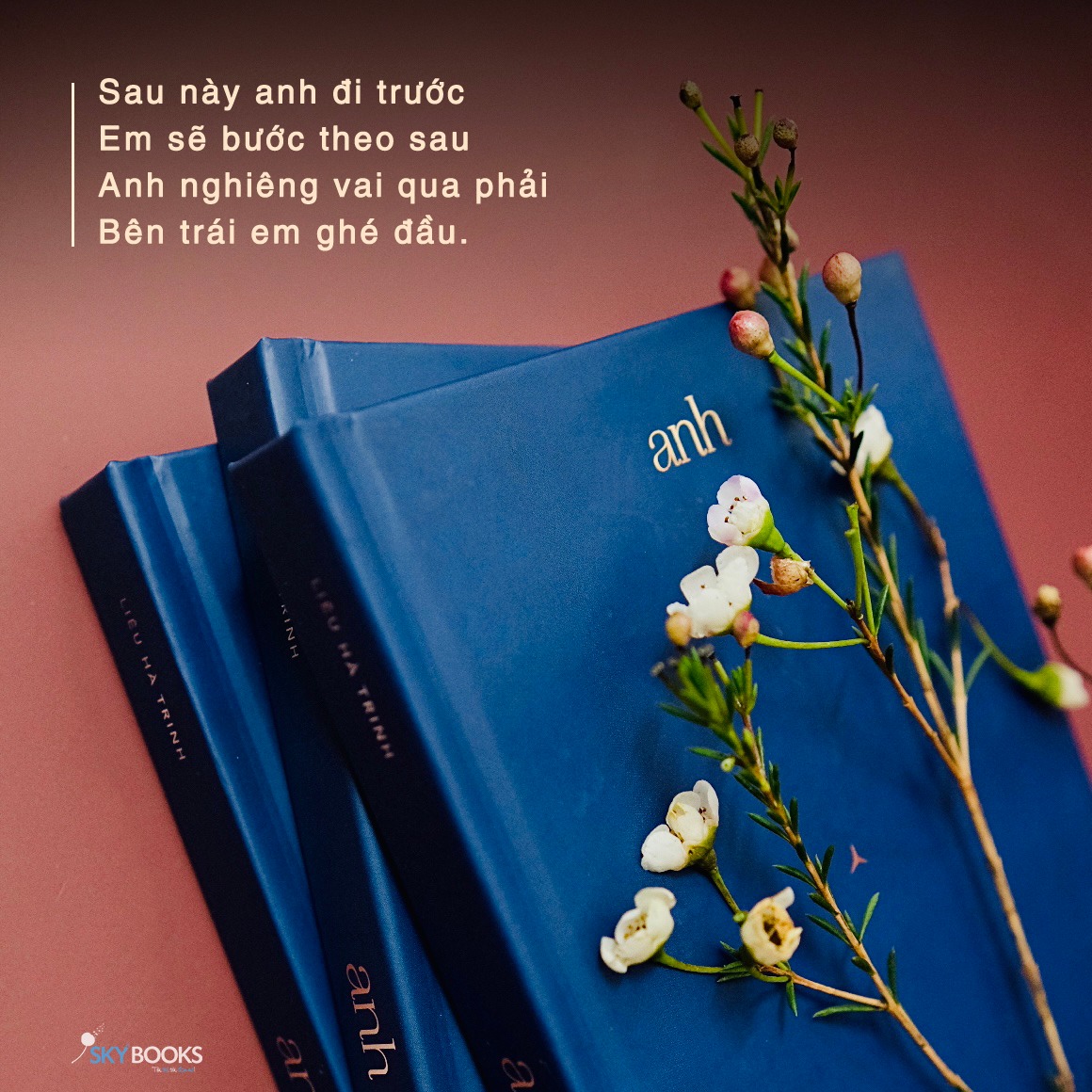 Sách - Anh - Liêu Hà Trinh