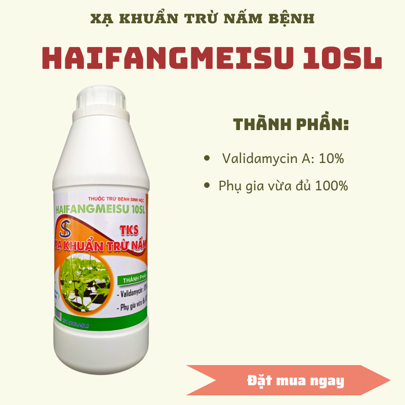 Xạ khuẩn Trừ Bệnh VALIDAMYCIN 10SL (10%)  Chai 900ml: thối nhũn dưa, thối rễ, héo xanh
