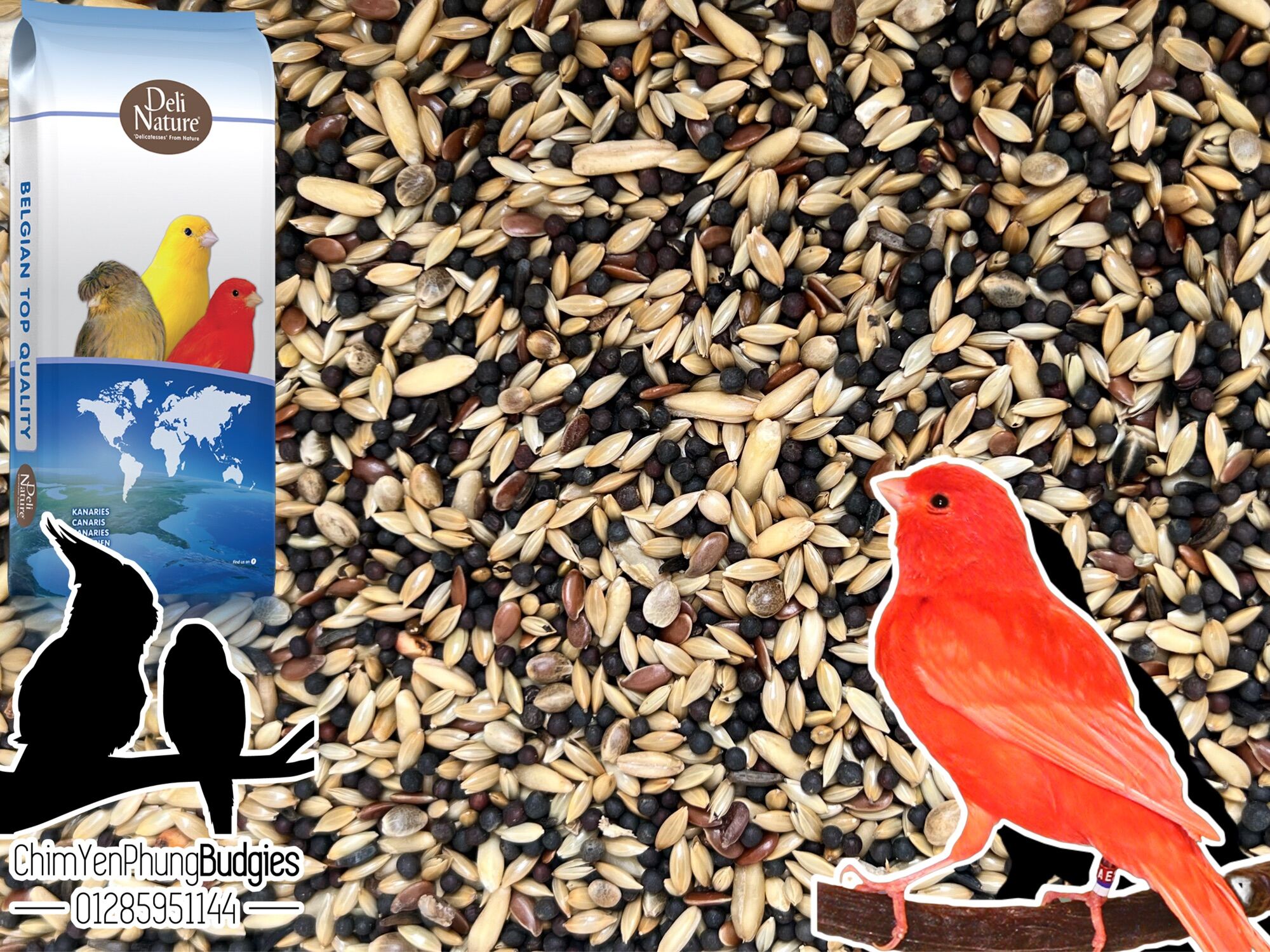 2kg hạt mix Deli Nature cho Yến Hót - xuất xứ: Bỉ 🇧🇪🇧🇪🇧🇪