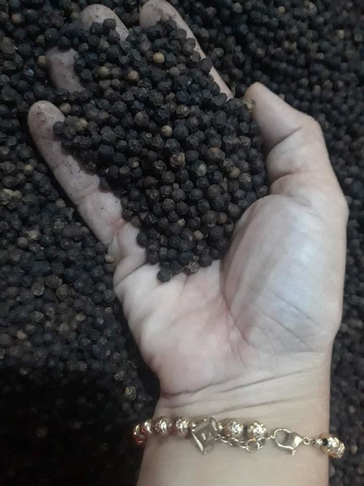 HẠT TIÊU SẠCH 1 KG