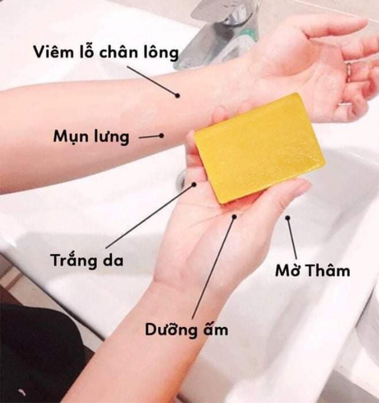 Xà bông nghệ tươi