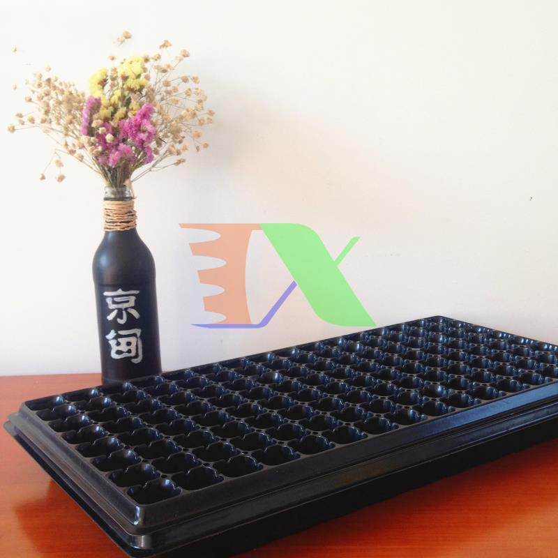 Bộ 5 khay ươm cây, khay ươm hạt, vỉ ươm (128 lỗ)(Đen)
