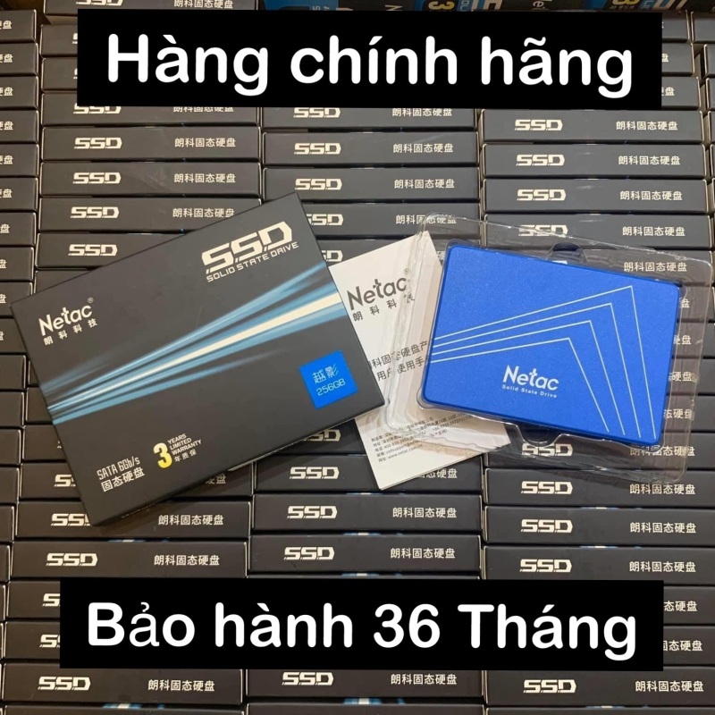 Bảng giá SSD 120GB Netac Bảo Hành 36 Tháng Phong Vũ