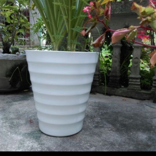 Combo 5 chậu vòng tròn đủ size trồng cây, hoa