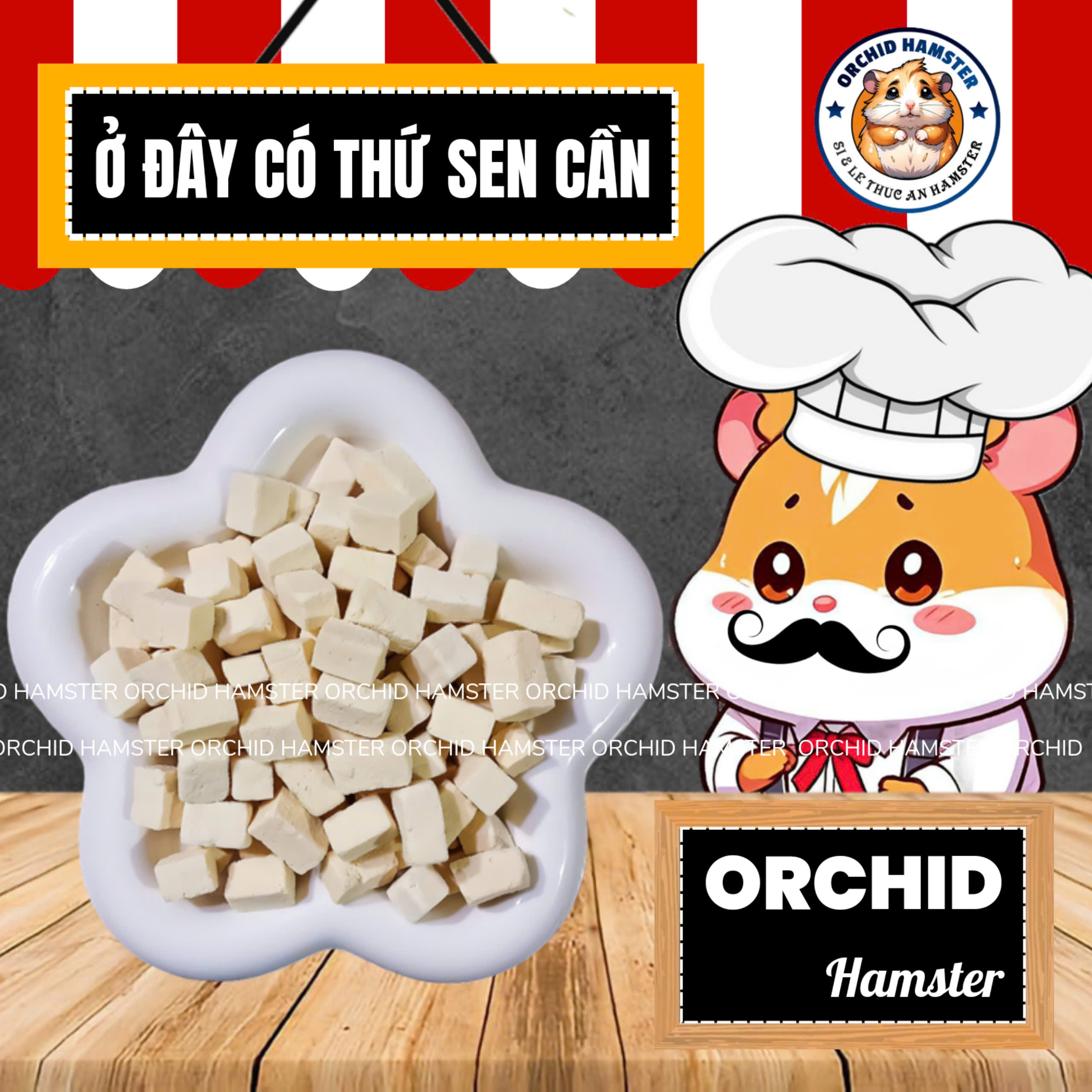 Sữa Chua Đậu Hủ Sấy Lạnh Hamster/Sóc/Thỏ/Nhím/Bọ Và Thú Nhỏ Tăng Vị Giác Cho Pet Cưng