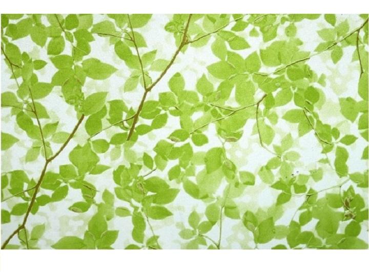 [HCM]Combo 5m decal giấy dán kính Cành Cây Xanh Lá ( khổ 0.6mx5m).