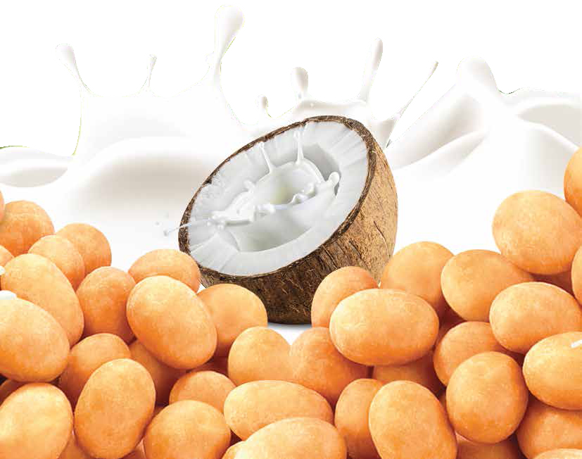 Đậu Phộng Nước Cốt Dừa Tân Tân Peanuts With Coconut (Lốc 10 gói x 15g)