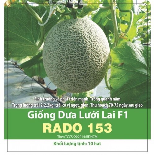 Hạt giống dưa lưới f1 rado 153 rd gói 10 hạt