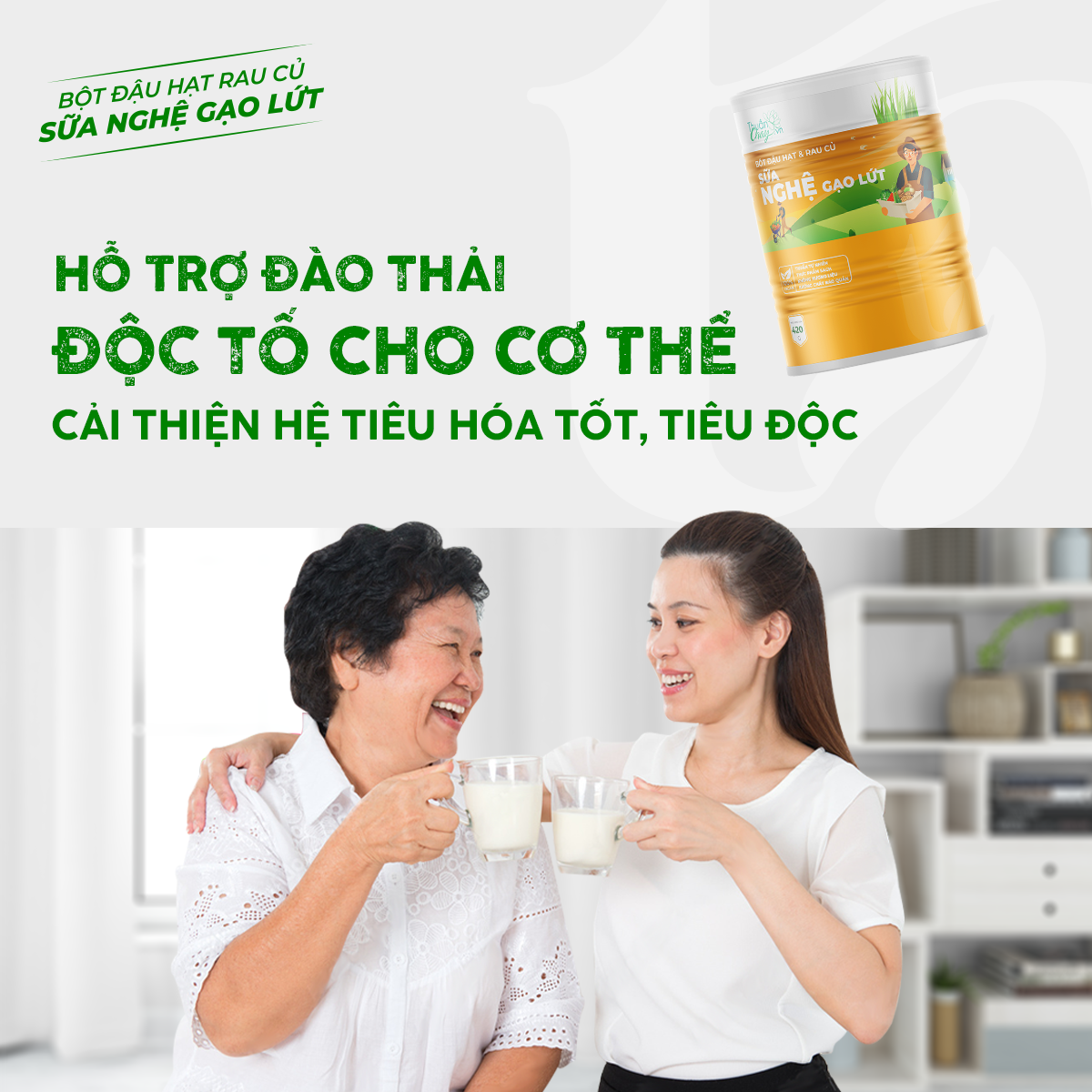 BỘT ĐẬU HẠT RAU CỦ NGHỆ GẠO LỨT - 420g