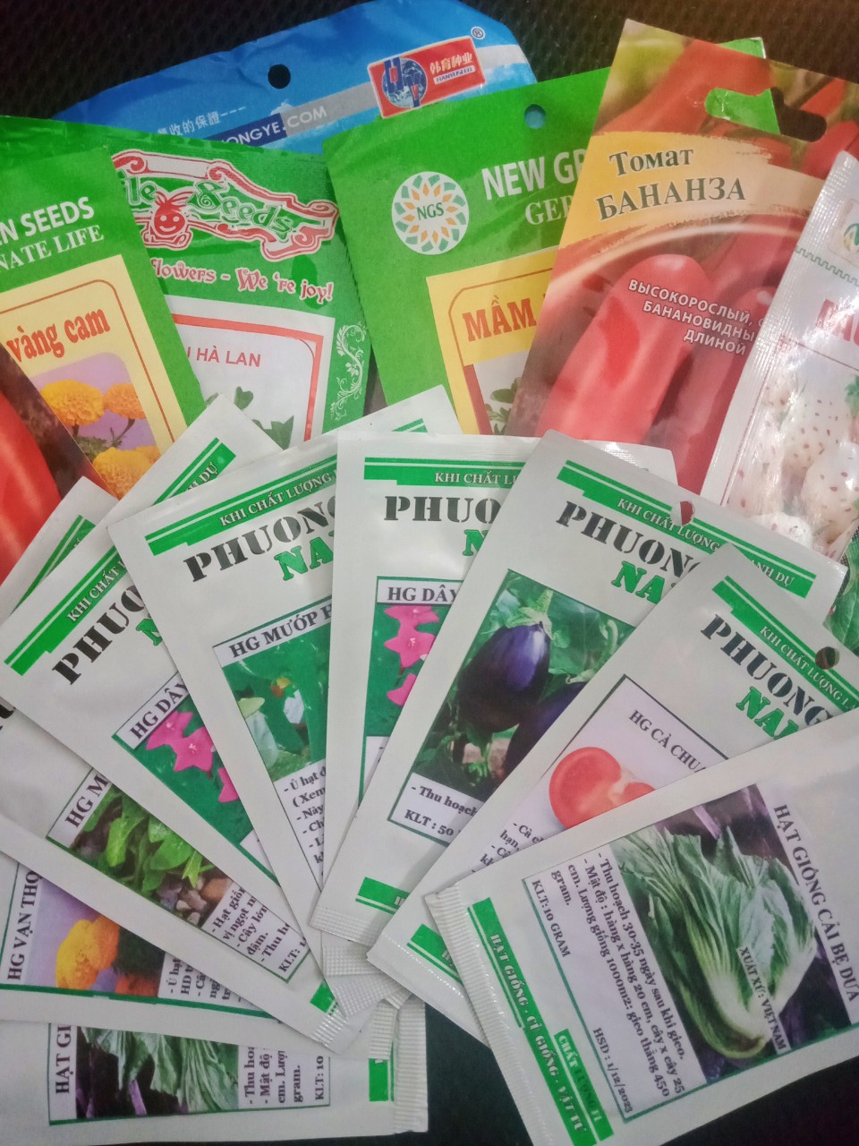 Hạt giống Cải Bẹ Dưa (Cải Bẹ Đông Dư) 10 gram.