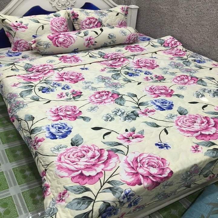 [HCM]ga giường cotton - ga giường MS03
