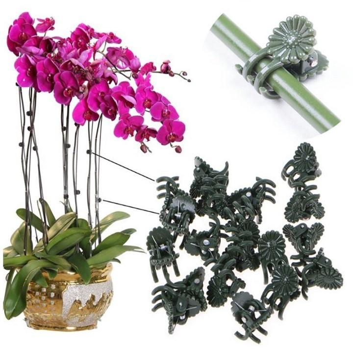KẸP CỐ ĐỊNH CÀNH HOA LAN - COMBO 20 CÁI - DP703