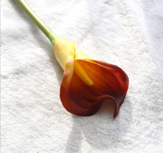 Hoa giả - Hoa rum calla lily cao su cao cấp cành dài 70 cm giống thật đến 99%