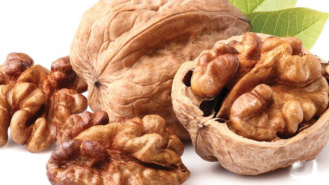 Óc chó nếp vàng Mỹ