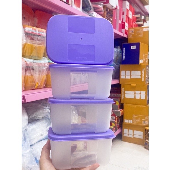 Set 4 hộp Tupperware trữ đông 700ml, set rainbow (hàng có sẵn)