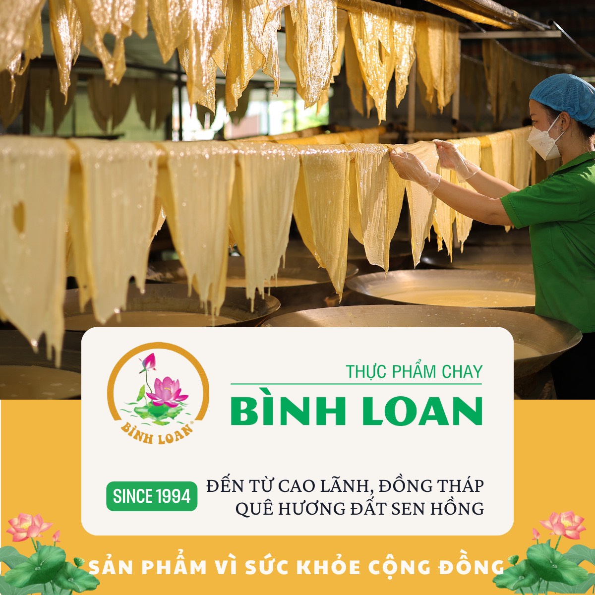 Thực Phẩm Chay Bình Loan - combo 12 hộp Chả Chay