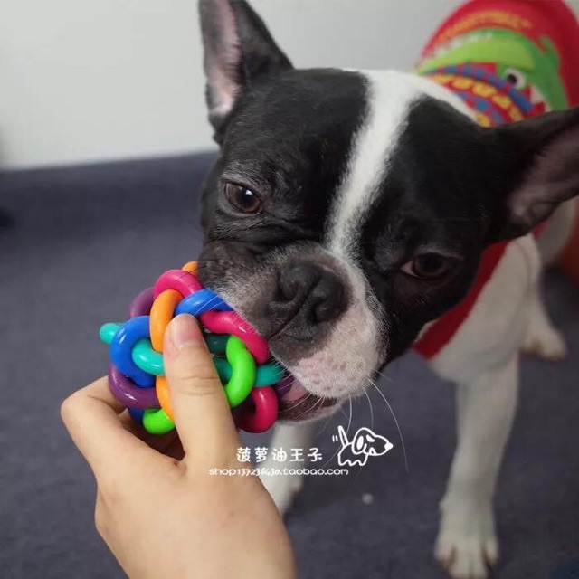 Banh đồ chơi cầu vồng cho thú cưng🐶🐾🐩