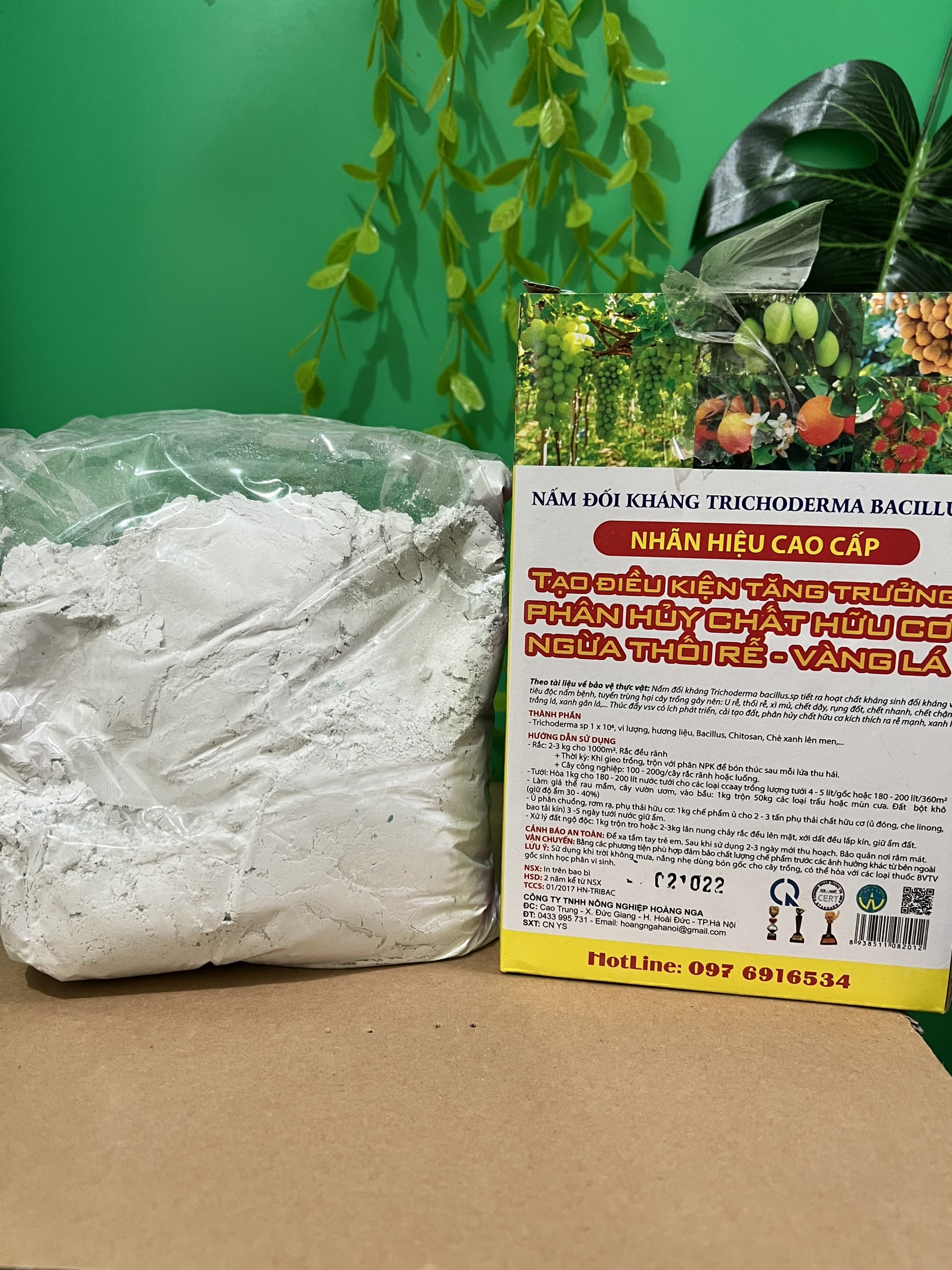 Nấm Trichoderma Bacillus dạng bột, nước, nấm đối kháng Tricoderma dùng ủ phân bón, rác thải nhà bếp