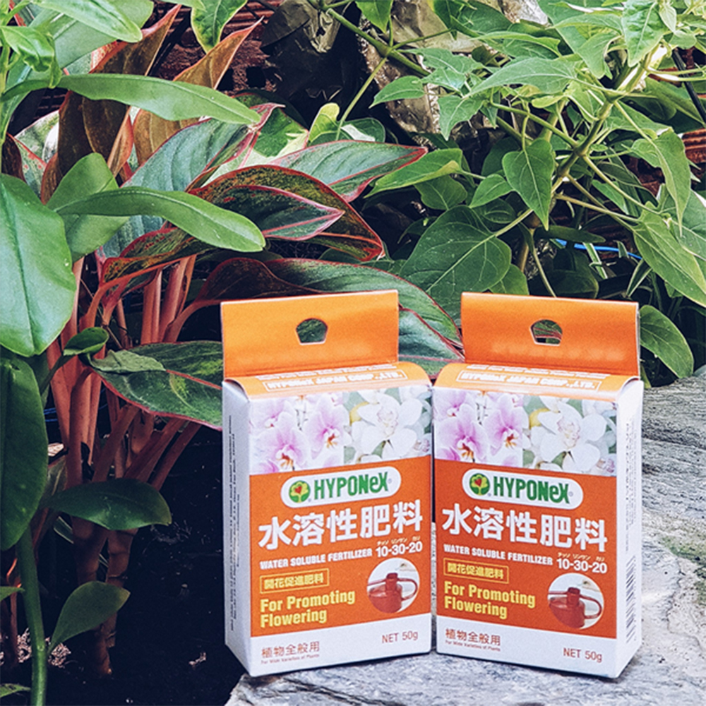 Phân bón cao cấp kích ra hoa Hyponex 10-30-20 Nhật Bản (50g/gói)