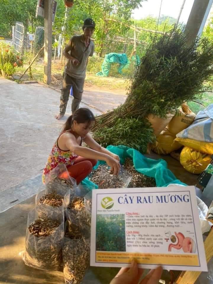 cây rau mương 0,5kg khô