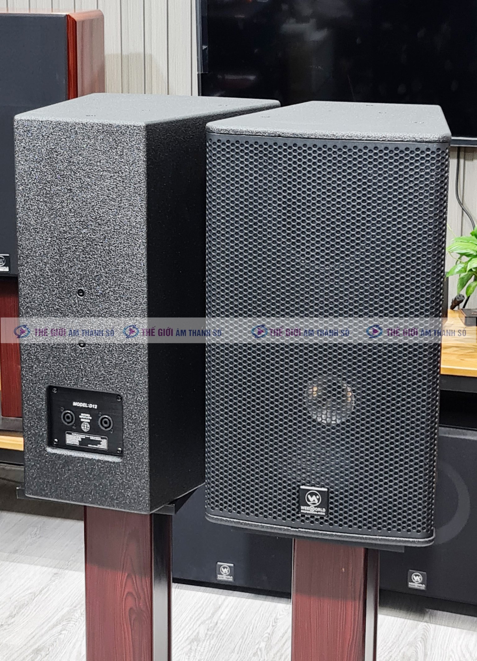 Loa Toàn Dải Weeworld D12