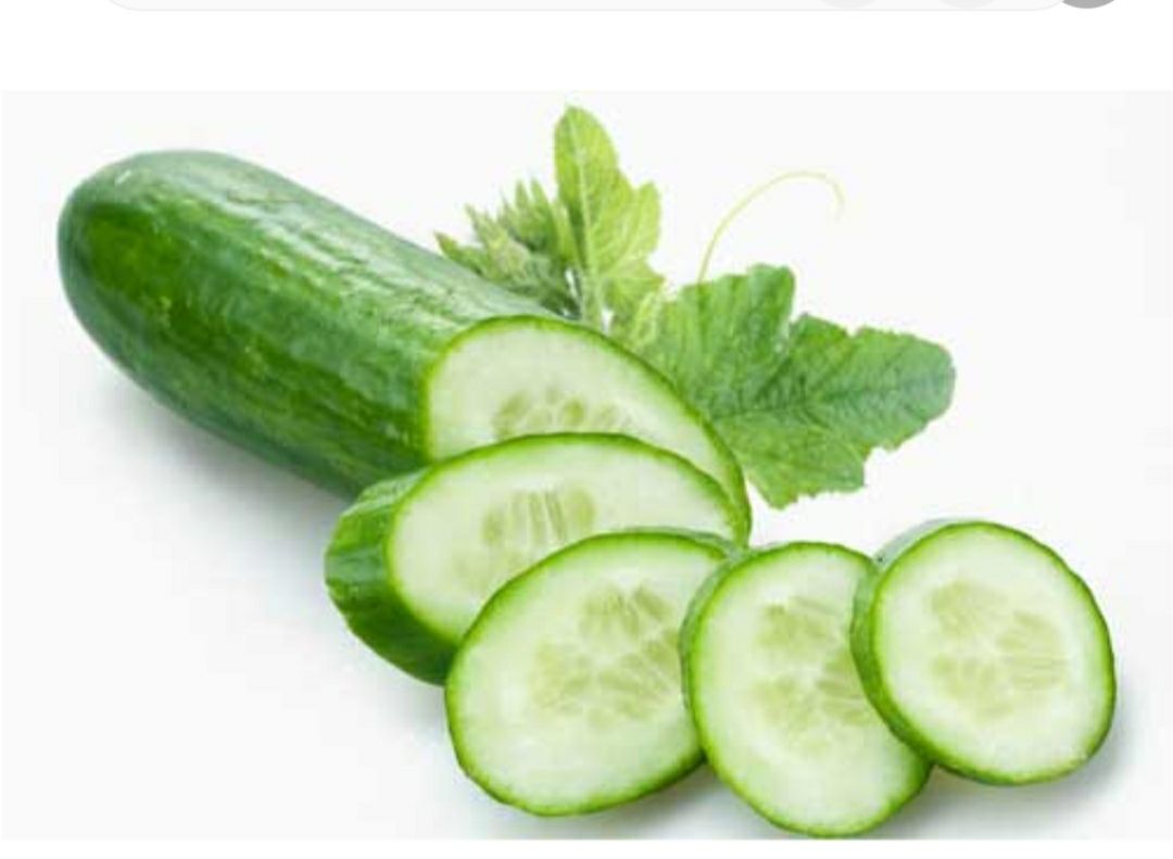 hạt giống dưa leo cao sản - gói 5gr