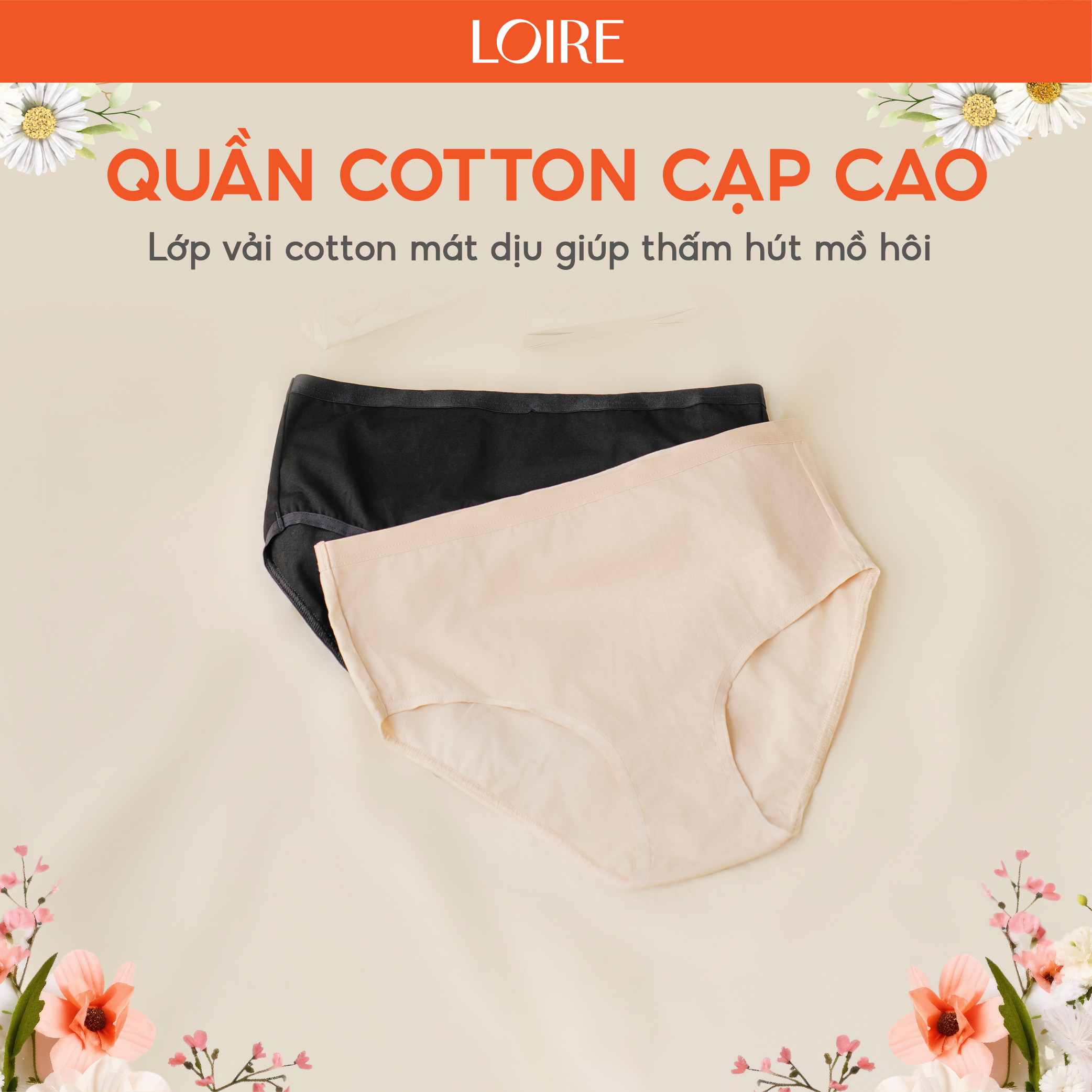 Quần Lót Cotton Cạp Cao Loirechic QLBR65