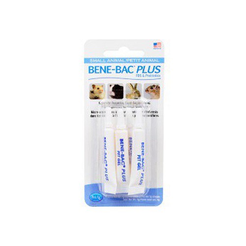[CHÍNH HÃNG] MEN TIÊU HÓA BENE-BAC PLUS CHO CHÓ MÈO (Hộp 4 ống 1G)