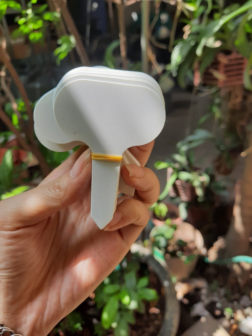 50 Thẻ cắm ghi tên cho hoa lan và cây cảnh, hoa kiểng màu trắng