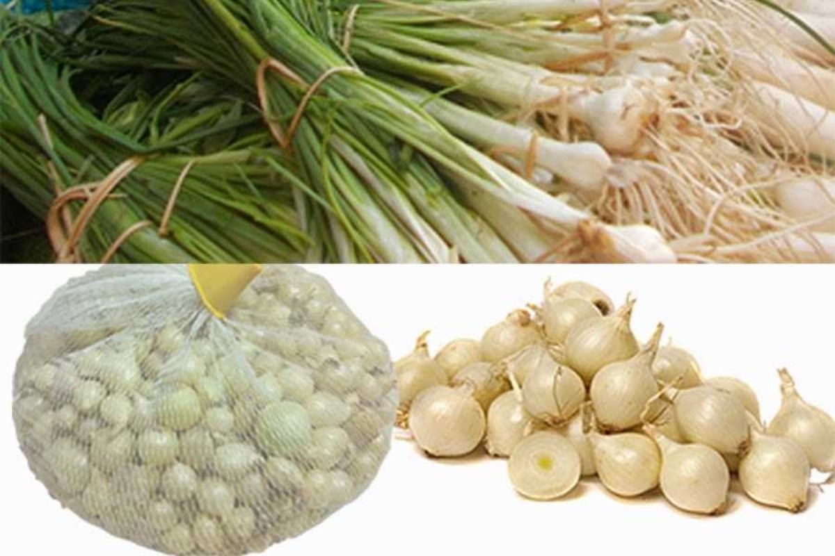 HÀNH TĂM XỨ NGHỆ (CỦ NÉN) 1KG