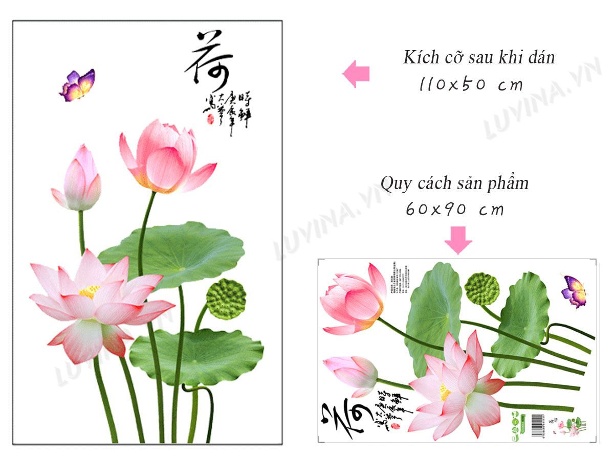 Decal dán tường Hoa sen hồng