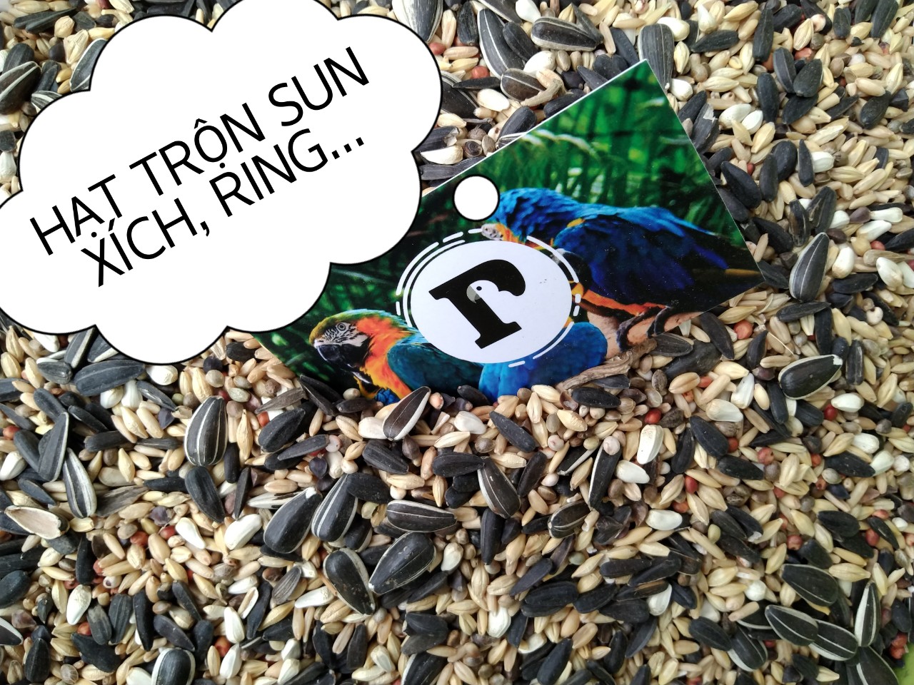 1KG HẠT TRỘN CHO SUN CORUNES, XÍCH, RING NECK, MONK, LORY