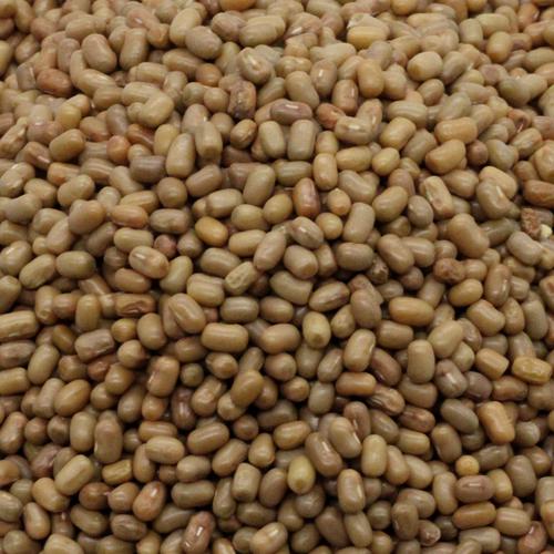 Moth Beans - Mataki- Matki - Đậu Bướm (500g - 1kg)