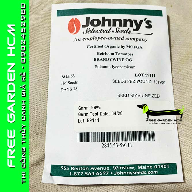 COMBO 50 HẠT GIỐNG CÀ CHUA BRANDYWINE - Johnny’s Seed – Mỹ