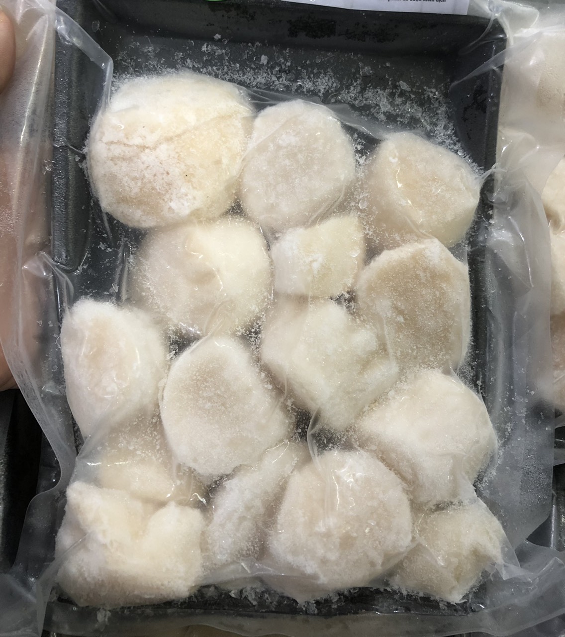 [HCM] Cồi Sò Điệp Khay 300gr (size 30-45 cồi/ký)
